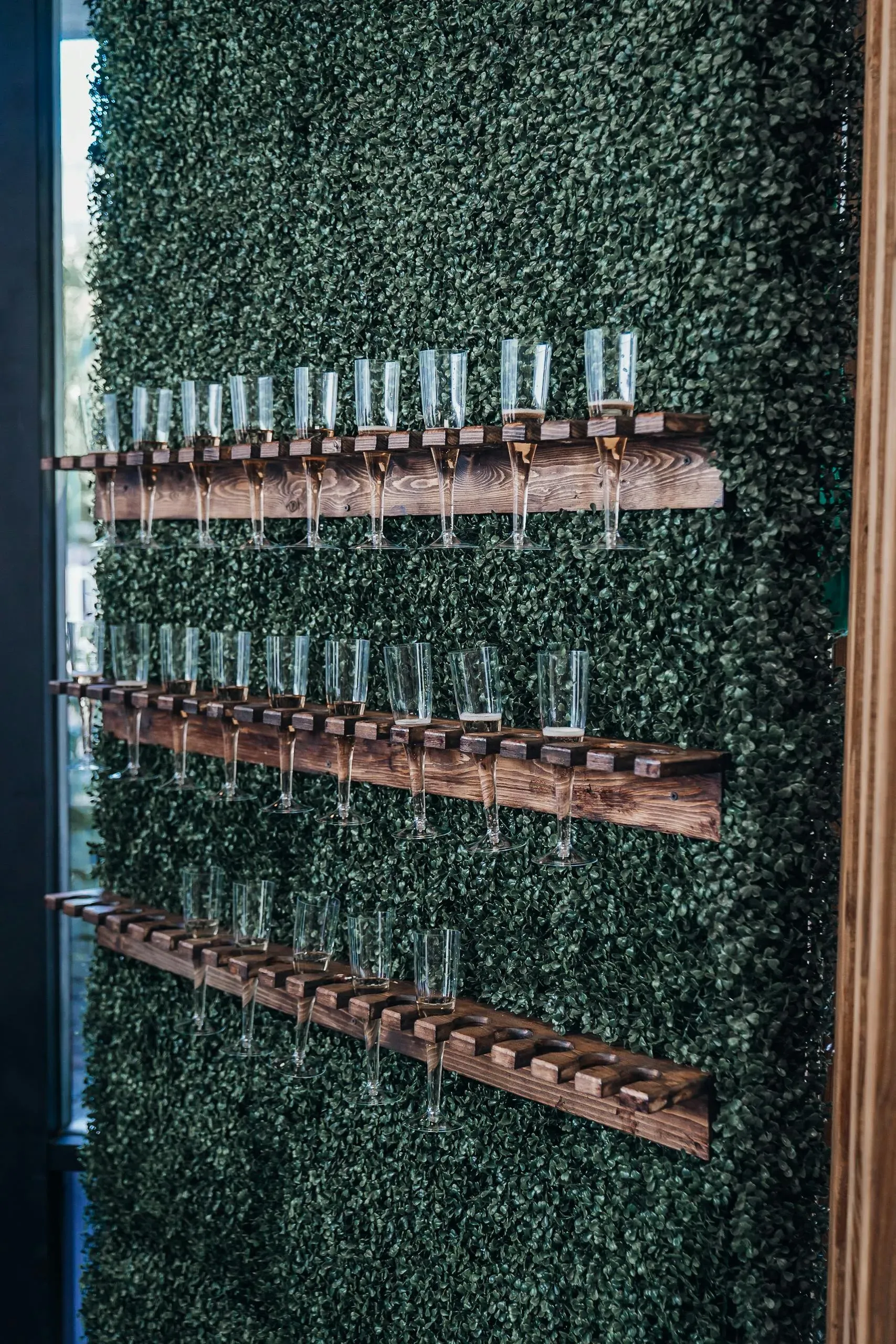 A green artificial hedge wall holding rows of glass champagne flutes on wooden shelves.